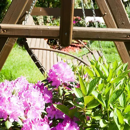 Słoneczny Dwór Nocleg ze śniadaniem